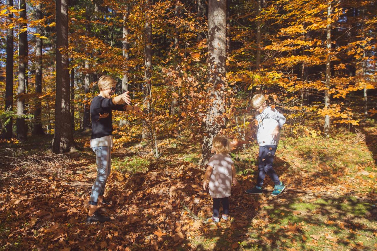 Drewniana Roza Domki Karkonosze Piechowice  Exterior foto