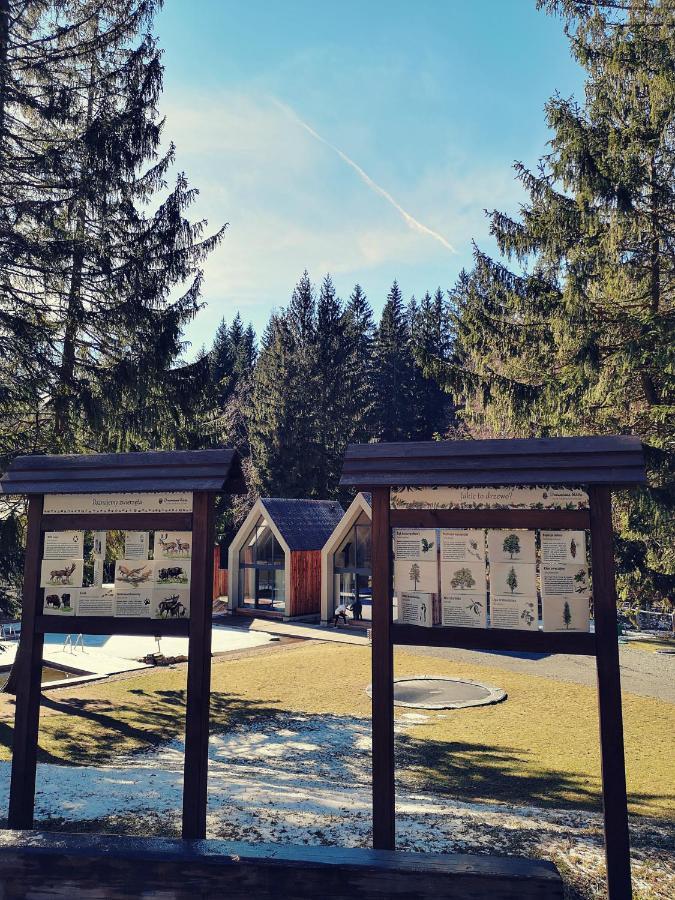 Drewniana Roza Domki Karkonosze Piechowice  Exterior foto